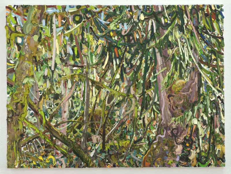 Lilian Garcia-Roig, "Webbed Woods", oil on canvas, 3'x4', 2009