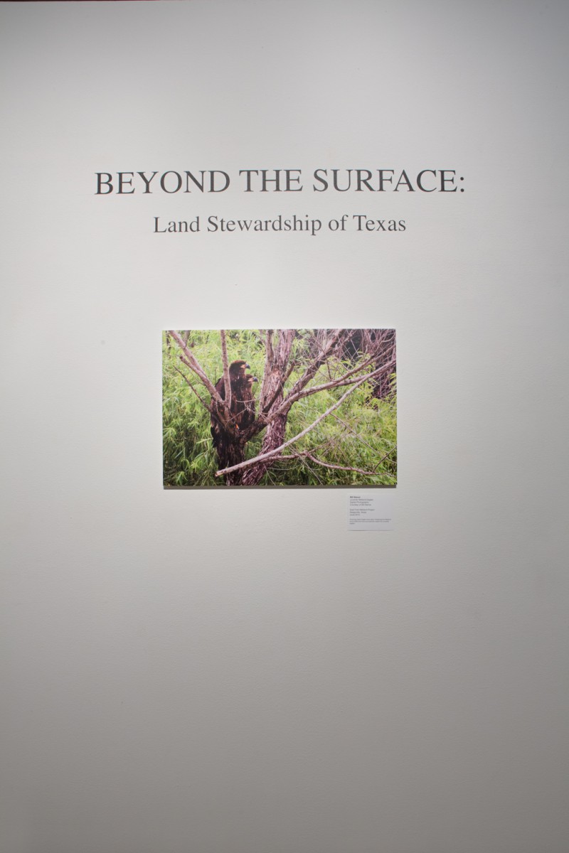 Beyond the Surface: Land Stewardship of Texas, photographs by John Bunker Sands and David Keith Sands 9/6/14 – 10/25/14